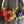 Load image into Gallery viewer, rainbow wreath craft kit hanging
