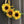 Load image into Gallery viewer, Sunflower Wreath close up
